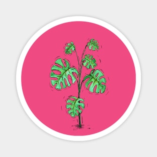 Monstera deliciosa green version Magnet